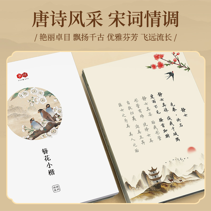 Cuaderno de caligrafía con dis - Chinese Calligraphy Practice Book reseña y precio