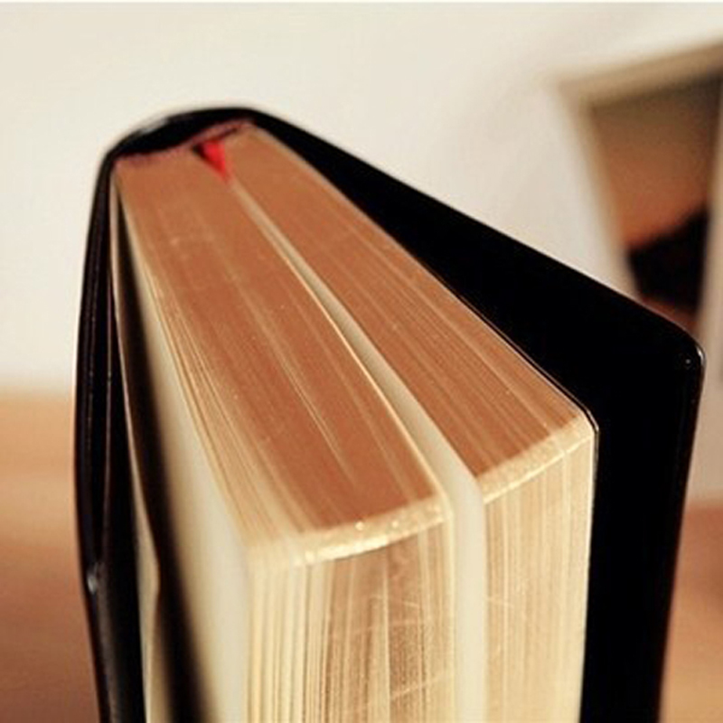 Cuaderno de la Biblia de cuero - Vintage Leather Journal Notebook reseña y precio